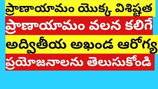 ప్రాణాయామం వల్ల కలిగే లాభాలను ఈ వైదిక భక్తి గీతం ద్వారా తెలుసుకోండి.