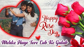 Valentine Day Special |Mehke Huye Tere Lab Ke Gulab |Mohd Aziz & Sadhna Sargam |90's Hindi Love Song