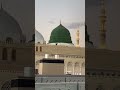 عرب لايك لايكات نواكشوط المغرب arab likeforlikes madina