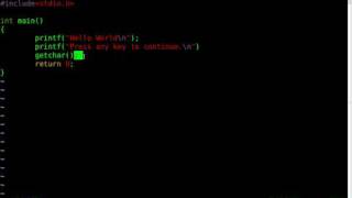 C Programing - Part 5 - Wait to Exit