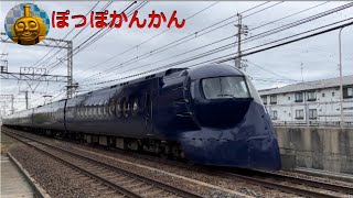 【電車】南海 井原里駅に行ってきました【踏切】ラピート、南海電鉄