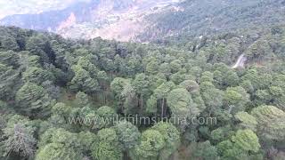 Mountain cabin in Himalayan mountains of India: aerial journey through forest and meadow