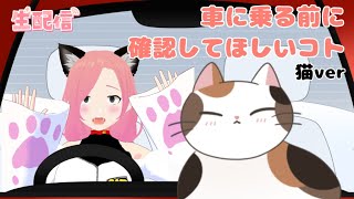 猫に関する車に乗る前にやってほしいことをお話しするよ～※ペットに関するお悩みや愚痴も吐き出しOK! #ぱりライブ #配信  #猫 #ぱりねこ通信