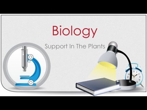 Biology – chapter 1| Support In The Plants  2015 
