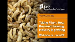 Taking Flight: How the insect farming industry is growing