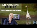 Photo Merge Panorama For Bird Photography, How To Stitch Multiple Exposures in Lightroom/Photoshop