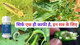 What is the Best Solution for Thrips and Caterpillars! #farming #aasankheti #agriculture