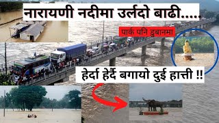 नारायणी नदीमा उर्लदो बाढी || Flood In Narayani River, Chitwan 2077 || Drone View