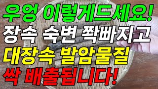 대장 숙변과 발암물질은 우엉을 이것과 같이 먹으면 쫙 배출됩니다!(장속노폐물배출 숙변제거방법 위점막 대장암 예방 대장건강에 좋은 음식)