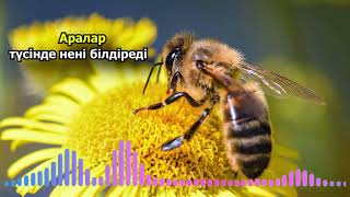 Түсіңізде ара және бал арасын көрсеңіз  - Аралар туралы армандардың мағынасы  - Түсінде Аралар