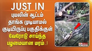 #JUSTNOW || புயலின் ஆட்டம் தாங்க முடியாமல் குடியிருப்பு பகுதிக்குள் வேரோடு சாய்ந்த பழமையான மரம்..!