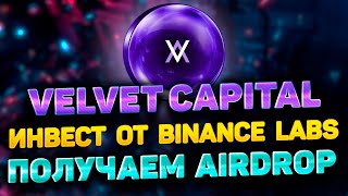 VELVET CAPITAL AIRDROP ИНСТРУКЦИЯ | КАК ПОЛУЧИТЬ ДРОП ОТ VELVET CAPITAL