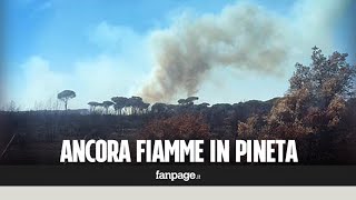 Ancora incendi a Roma, nuovi focolai nella pineta di Castel Fusano