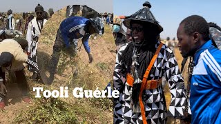 Ziyaar S Cheikh Darou Fall ci S Cheikh Ndigal Fall Ndékhi Tooli Guérlé  Dimanche 10 Novembre 2024