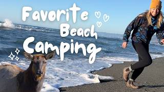 Camping on the Beach with Elk | A Van Life Adventure by the Ocean