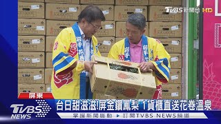 台日情誼甜滋滋!屏金鑽鳳梨 1貨櫃直送花卷溫泉｜TVBS新聞