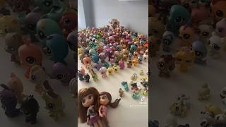 Tüm minişlerim💖 Miniş Koleksiyonum  #lps #miniş #minişler #tiktok #littlestpetshop