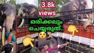 അനുവാദമില്ലാതെ ഇങ്ങനെ ചെയ്യല്ലേ..😳😳🙏🙏 || പുതുപ്പള്ളി കേശവൻ, ഗുരുവായൂർ ശേഖരൻ, വലിയപുരക്കൽ സൂര്യൻ 💖❣️