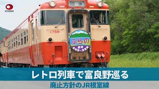 レトロ列車で富良野巡る 廃止方針のJR根室線