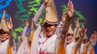 本場徳島阿波おどり・若獅子連_第2幕_阿波おどり会館_20180602 Awaodori in Tokushima Japan