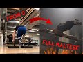 INCREDIBLE PLANCHE PROGRESSION - FROM 0 TO FULL MALTESE!! - 3 YEARS