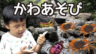 昆虫 子供向け　川遊びしたよ 魚つかみ取りと昆虫採集　昆虫キッズ