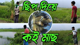 Amazing Fishing Skill🔥 | ছিপ দিয়ে কই মাছ ধরার পদ্ধতি | Indian Village Fishing |