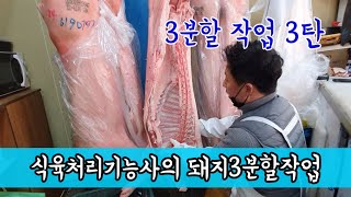 돼지발골 3단 분리작업/손기술대단함/귀한영상 꼭~보세용