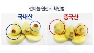 중국산 마늘을 국산으로 '포대갈이' 대거 적발