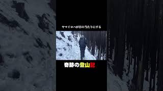 【奇跡の登山】滋賀の綿向山！超絶景が現れる神降臨の瞬間を目撃  #shorts #登山 #雪山 #霧氷