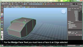Polygon Modeling & Editing