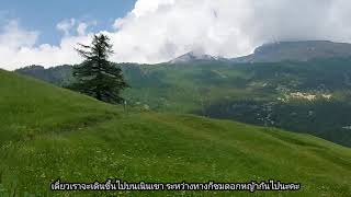 ทุ่งหญ้าบนเขาหมู่บ้านSimplon Dorf ในรัฐวาเลที่พูดภาษาเยอรมัน🍀@สวิตเซอร์แลนด์🇨🇭#Switzerland by Nokie