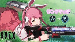 【Apex】エンジョイ勢のランクマ奮闘記【地声バ美肉Vtuber/野良うさぎ】#61