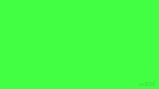 A Color a Day - #4f4 rgb(68, 255, 68) - 2024.10.06 - 12-bit RGB Colors by @majal