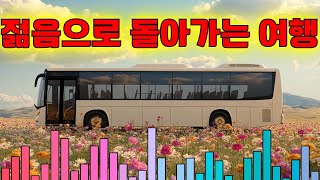 디스코 메들리 - 젊음으로 돌아가는 여행 🚍 신나는 관광버스 메들리 🚎 봄 여행 메들리