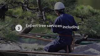 Sod Installation Services by Truco Services Inc