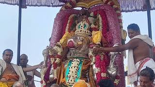 பங்குனி உத்திர திருவிழா/ ஏகாம்பரநாதர்/காஞ்சிபுரம்