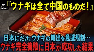 「全て中国のものだ!!」中国がウナギの日本向け輸出を規制！日本が完全養殖成功で迎える未来は？【海外の反応】