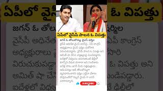 ys sharmila sensational comments on ys Jagan