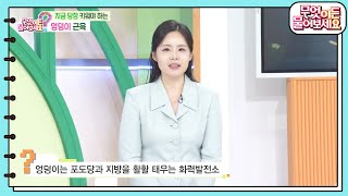 [백년습관] 지금 당장 키워야 하는 엉덩이 근육 [무엇이든 물어보세요] | KBS 241120 방송