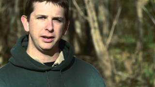 Deer Tips 5: Location, Location, Location | Indiana DNR