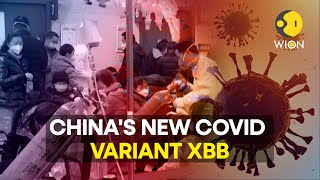 China prepares for new Covid variant with up to 65 million weekly cases