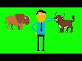 do you know the difference between a bison and a bull bull sounds bison sounds bull vs bison