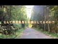 たった一人の村【限界集落】石川県羽咋郡宝達志水町針山・海老坂集落