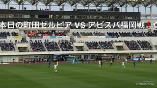 町田ゼルビア勝利❗️⚽️✨🎵