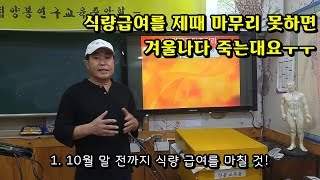 2018년 10월 양봉관리 ①: 월동식량은 언제 마무리해야할까요?