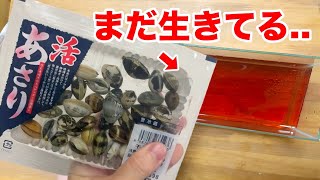 Something terrible happened when I put live clams I bought at a fresh fish supermarket into a dir...