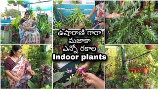 Usharani gari beautiful balcony, excellent collection of indoor plants, also Shared valuable tips