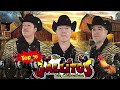 los gallitos de chihuahua 2023 ♦ las mejores canciones 30 exitos mix 2023