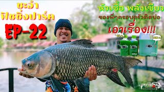 ตกปลาบึก,แต่เจอกระโห้,ชะอำฟิชชิ่ง​ปาร์ค@macchaphathaw9869 EP-22(ห้ามพลาด)